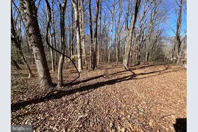 Holly Neck Road, Essex, MD 21221 - Photo 5