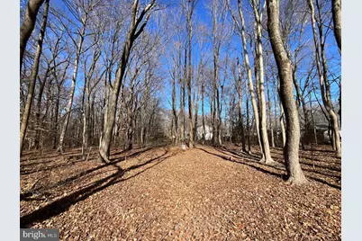 Holly Neck Road, Essex, MD 21221 - Photo 3