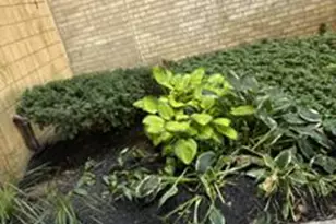 130 Slade Ave, Baltimore, MD 21208 - Photo 25