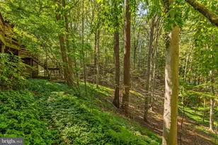 1101 Timber Trail Rd, Baltimore, MD 21286 - Photo 25