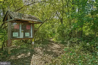 206 Park Drive, Catonsville, MD 21228 - Photo 63