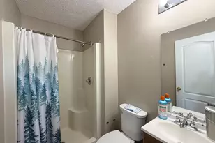 3806 Sandy Hook Rd, Randallstown, MD 21133 - Photo 17