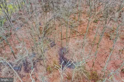 Bird River Road #LOT 3, Middle River, MD 21220 - Photo 19