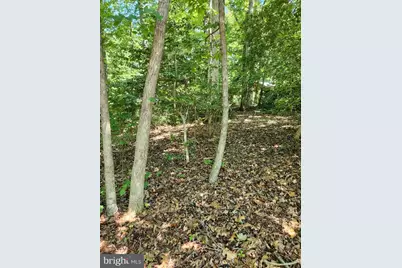 646 White Rock Road, Lusby, MD 20657 - Photo 9