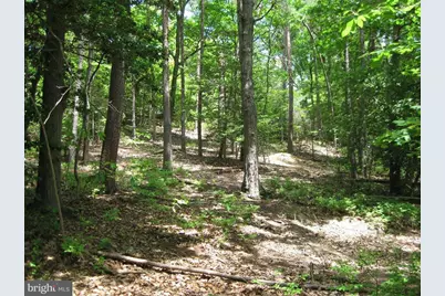 11234 Cove Lake Road, Lusby, MD 20657 - Photo 11