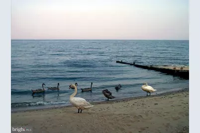 11234 Cove Lake Road, Lusby, MD 20657 - Photo 7