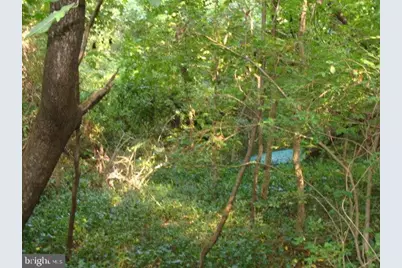 4035 St Leonard Road, Saint Leonard, MD 20685 - Photo 7