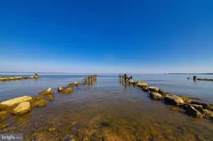 1105 El Paso Cir, Lusby, MD 20657 - Photo 53