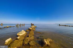 1105 El Paso Cir, Lusby, MD 20657 - Photo 51