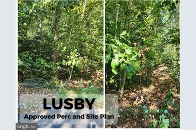 513 Cody Trail, Lusby, MD 20657 - Photo 3