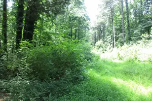 422 Lessin Dr, Lusby, MD 20657 - Photo 1