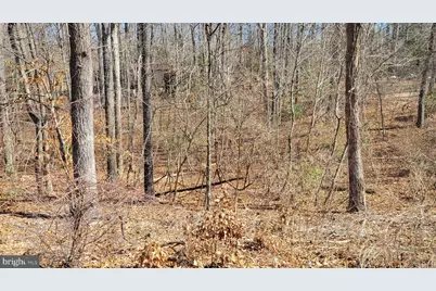 11436 Stirrup Lane, Lusby, MD 20657 - Photo 3