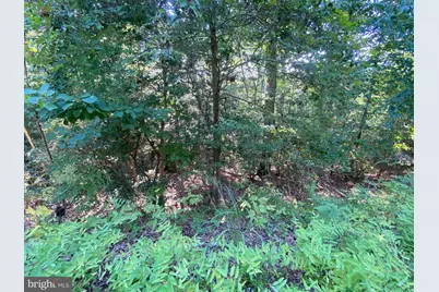 11525 Senora Lane, Lusby, MD 20657 - Photo 5