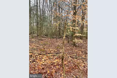 380 Mason Road, Prince Frederick, MD 20678 - Photo 3