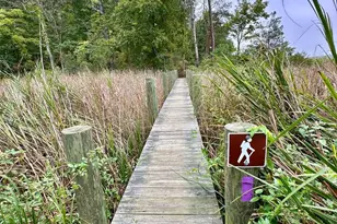 1730 Pinkney's Field Dr, Huntingtown, MD 20639 - Photo 73