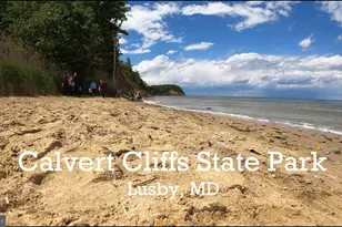 1021 Concord Ct, Owings, MD 20736 - Photo 37