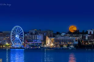 1021 Concord Ct, Owings, MD 20736 - Photo 53