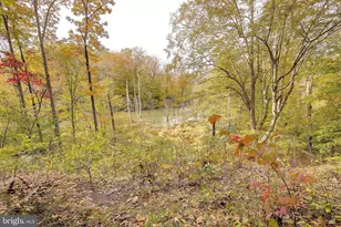 4950 Hardesty Rd, Huntingtown, MD 20639 - Photo 83