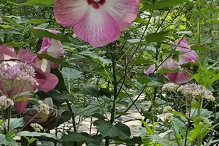 4950 Hardesty Rd, Huntingtown, MD 20639 - Photo 93