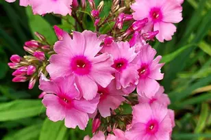 7410 Dakota Ave, Chesapeake Beach, MD 20732 - Photo 65