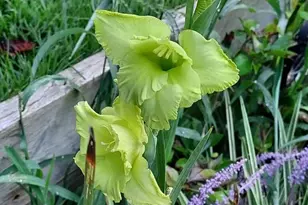 7410 Dakota Ave, Chesapeake Beach, MD 20732 - Photo 57