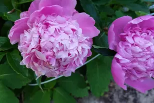 7410 Dakota Ave, Chesapeake Beach, MD 20732 - Photo 59