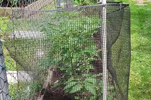 7410 Dakota Ave, Chesapeake Beach, MD 20732 - Photo 63