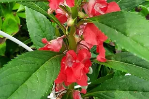 7410 Dakota Ave, Chesapeake Beach, MD 20732 - Photo 67