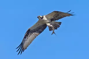 7517 B St, Chesapeake Beach, MD 20732 - Photo 9