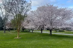 205 Cedar Beach Dr, Prince Frederick, MD 20678 - Photo 49