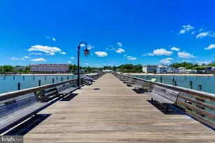 9000 Bay Ave, North Beach, MD 20714 - Photo 51