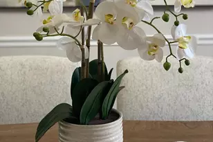 1041 Kings Creek Dr, Saint Leonard, MD 20685 - Photo 43