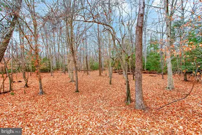 2775 Scientists Cliffs Road, Port Republic, MD 20676 - Photo 47