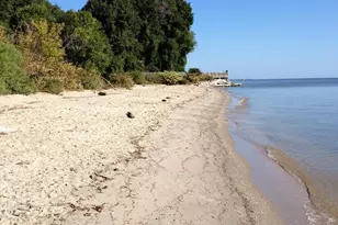 7931 Delores Ct, Chesapeake Beach, MD 20732 - Photo 53