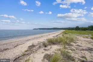 12610 Little Ln, Lusby, MD 20657 - Photo 67