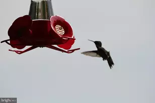 754 Bellefield Rd, Solomons, MD 20688 - Photo 51