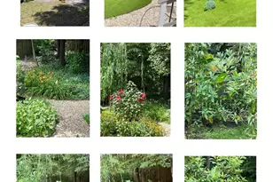 13441 Lore Pines Ln, Solomons, MD 20688 - Photo 57