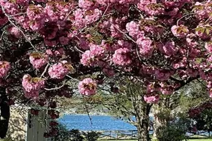 14382 Sedwick Ave, Solomons, MD 20688 - Photo 9