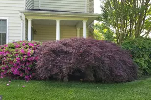 3300 Lancer Ct, Dunkirk, MD 20754 - Photo 85