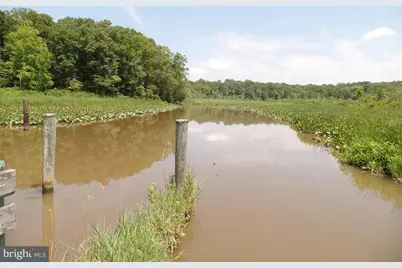 12124 Palisades Drive, Dunkirk, MD 20754 - Photo 133