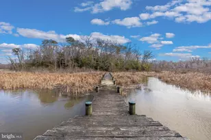 12124 Palisades Dr, Dunkirk, MD 20754 - Photo 99