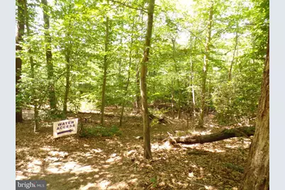 12124 Palisades Drive, Dunkirk, MD 20754 - Photo 127