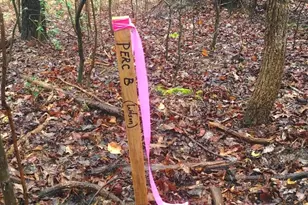 1750 Joe Harris Rd, Prince Frederick, MD 20678 - Photo 3