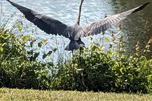 1860 Battery Ln, Owings, MD 20736 - Photo 9