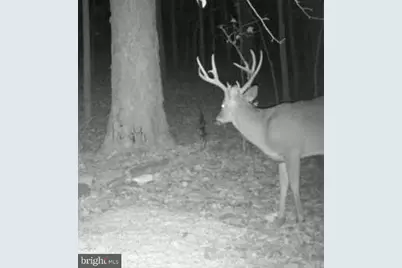 635 Tobacco Ridge Road, Prince Frederick, MD 20678 - Photo 3