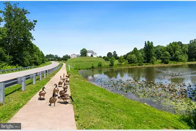 3188 Huntsman Drive, Huntingtown, MD 20639 - Photo 81