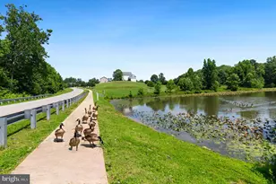 3188 Huntsman Dr, Huntingtown, MD 20639 - Photo 81