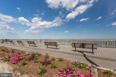 3751 8th Street, North Beach, MD 20714 - Photo 43