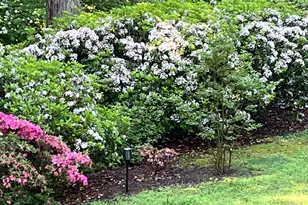 4030 Fridays Ln, Owings, MD 20736 - Photo 57