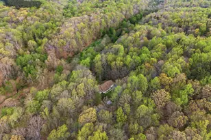 405 Ball Rd, Saint Leonard, MD 20685 - Photo 39